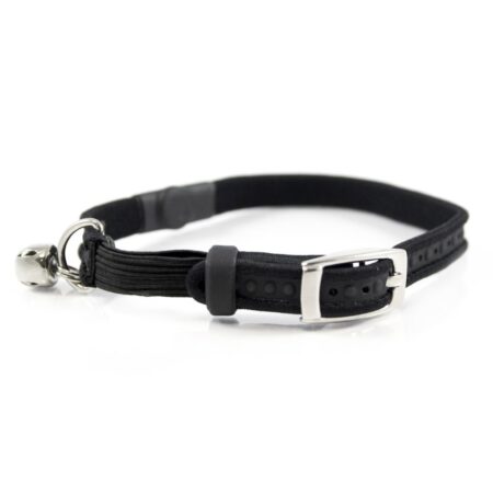 Magnetic cat collar